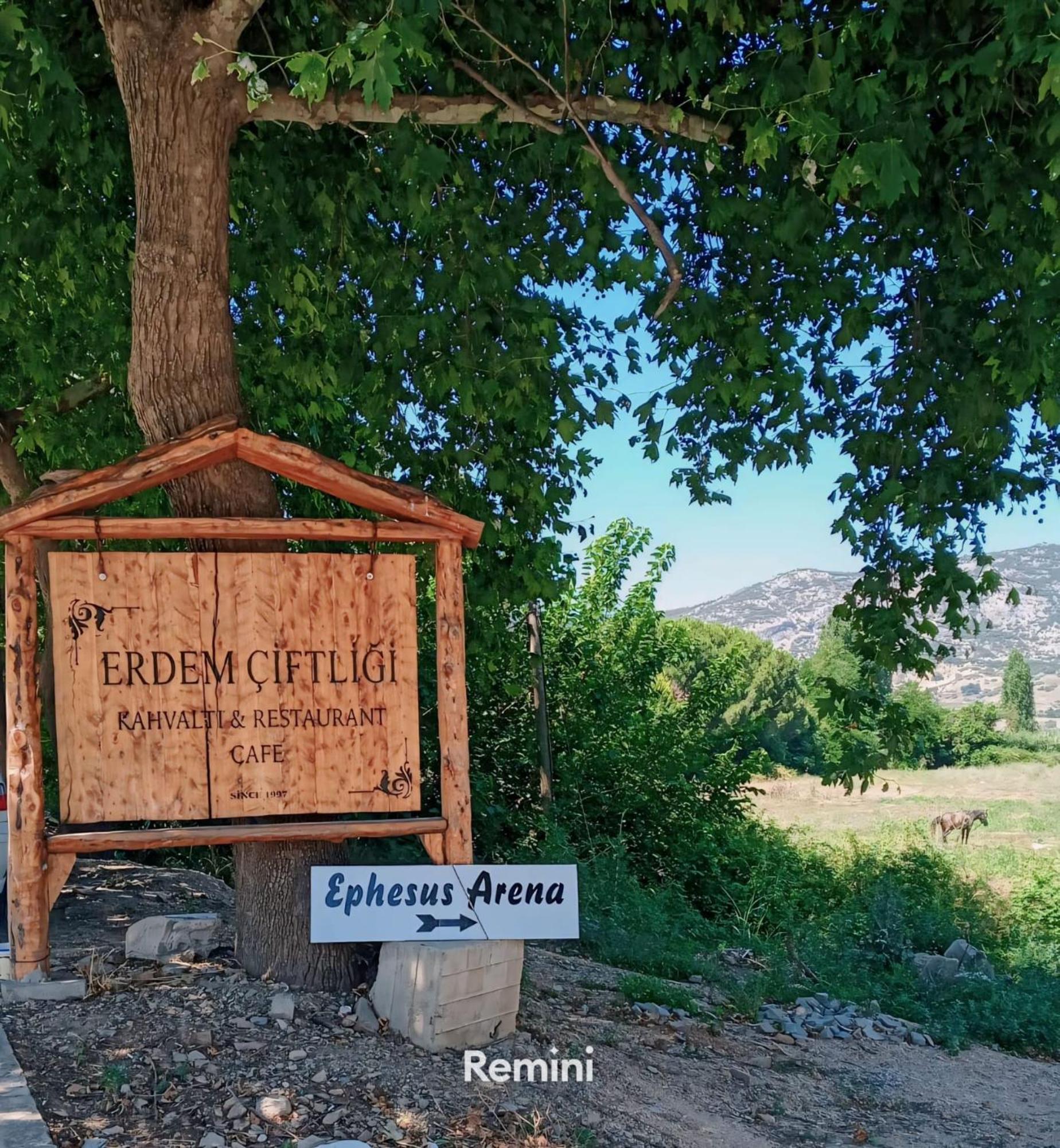 Erdem Ciftligi/ Ephesus Arena Leilighet Selcuk Eksteriør bilde