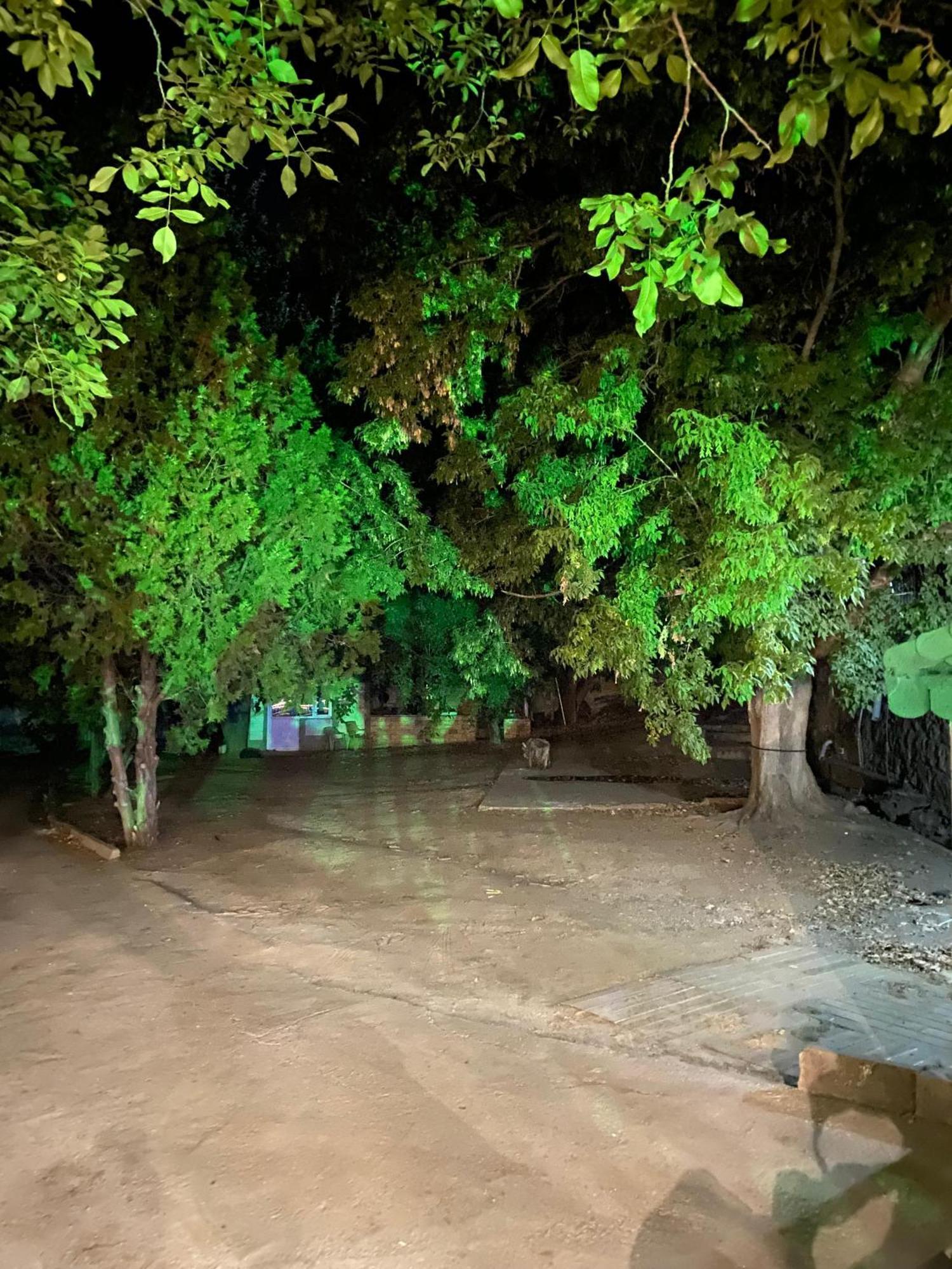 Erdem Ciftligi/ Ephesus Arena Leilighet Selcuk Eksteriør bilde